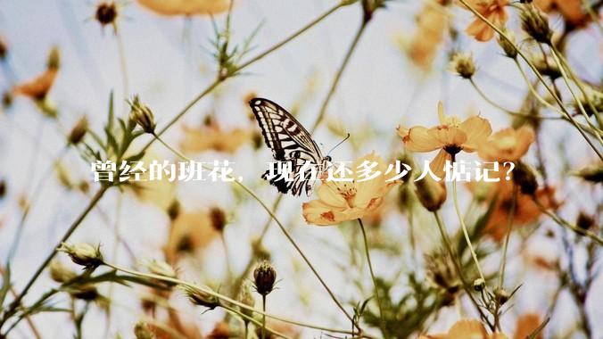 曾经的班花，现在还多少人惦记？